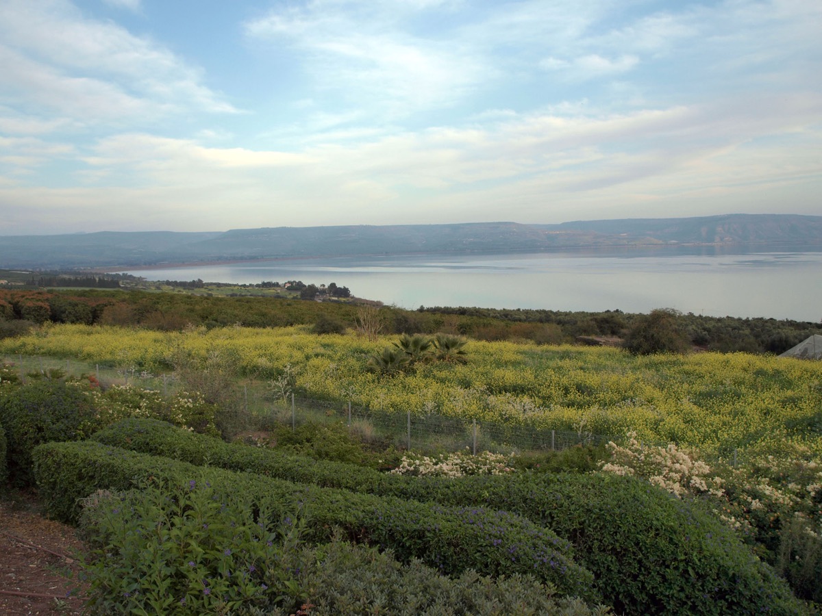 The Kinneret (Sea of Galilee) in spring