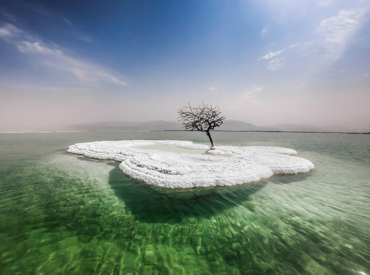 A salt island with a tree in the Dead Sea