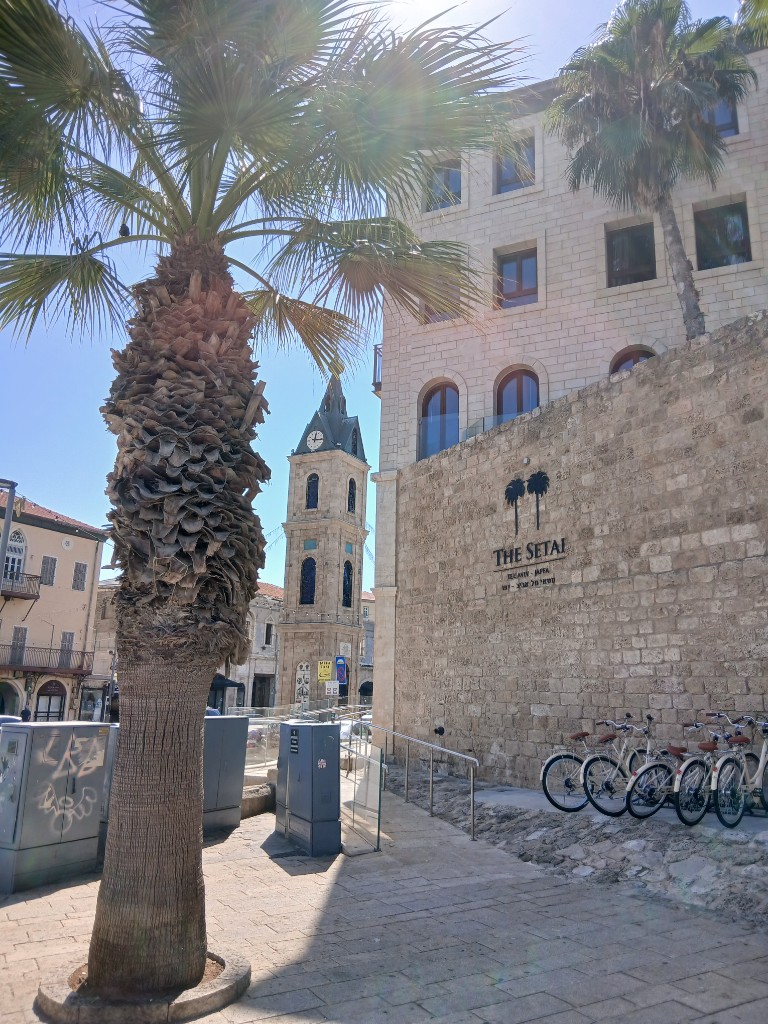 The clock tower of Yafo behind a palm