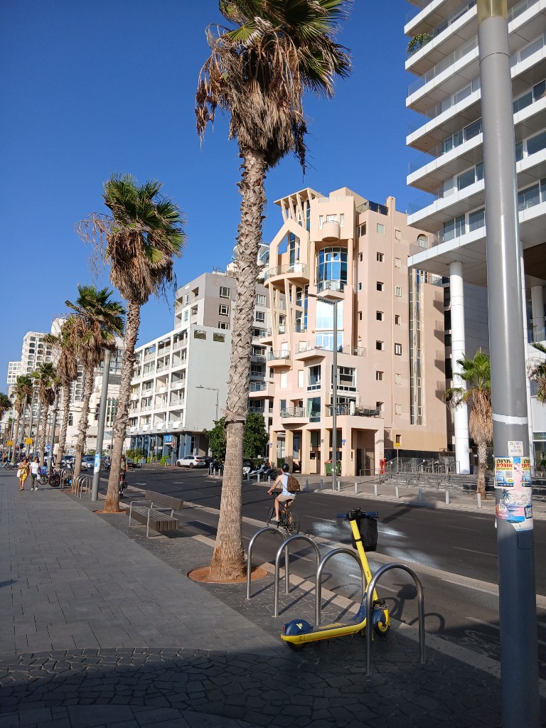 Palms and towers on the promenade